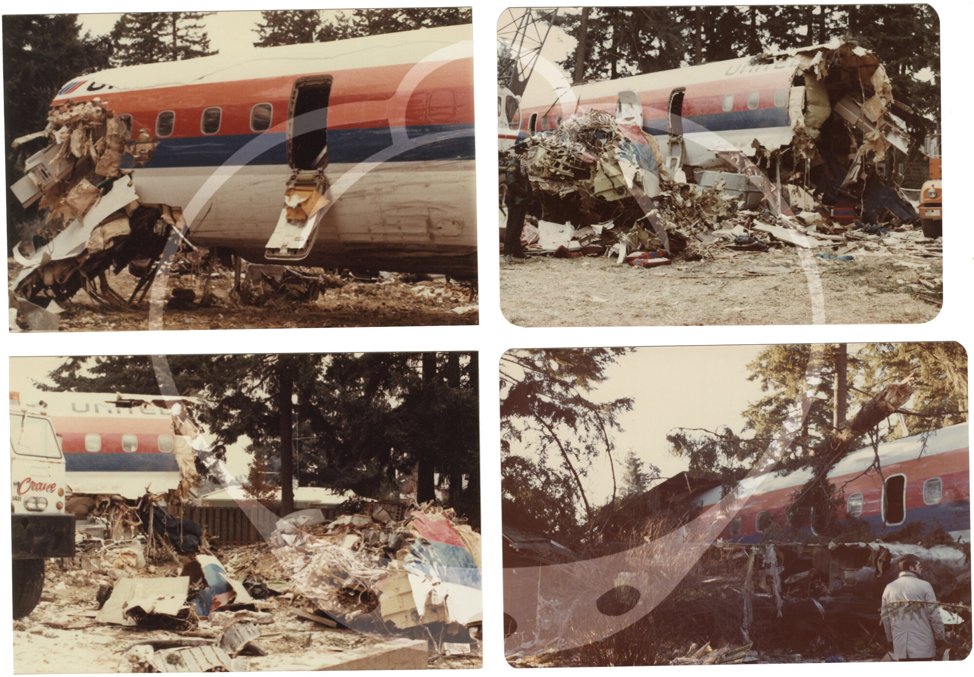 Flight 173 Archive of 63 photographs of the crash of United Airlines Flight 173 ...