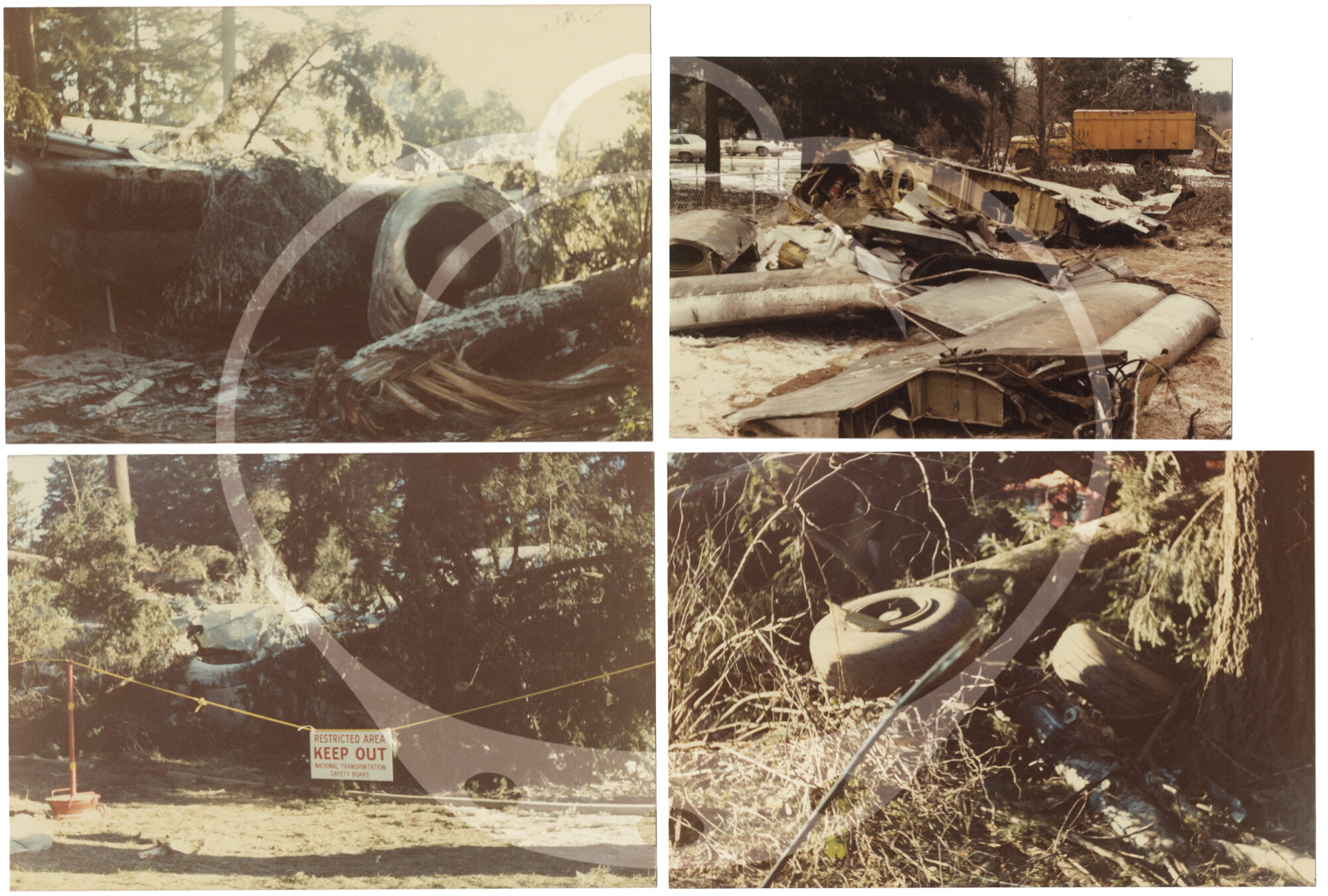 Flight 173 Archive of 63 photographs of the crash of United Airlines Flight 173 ...