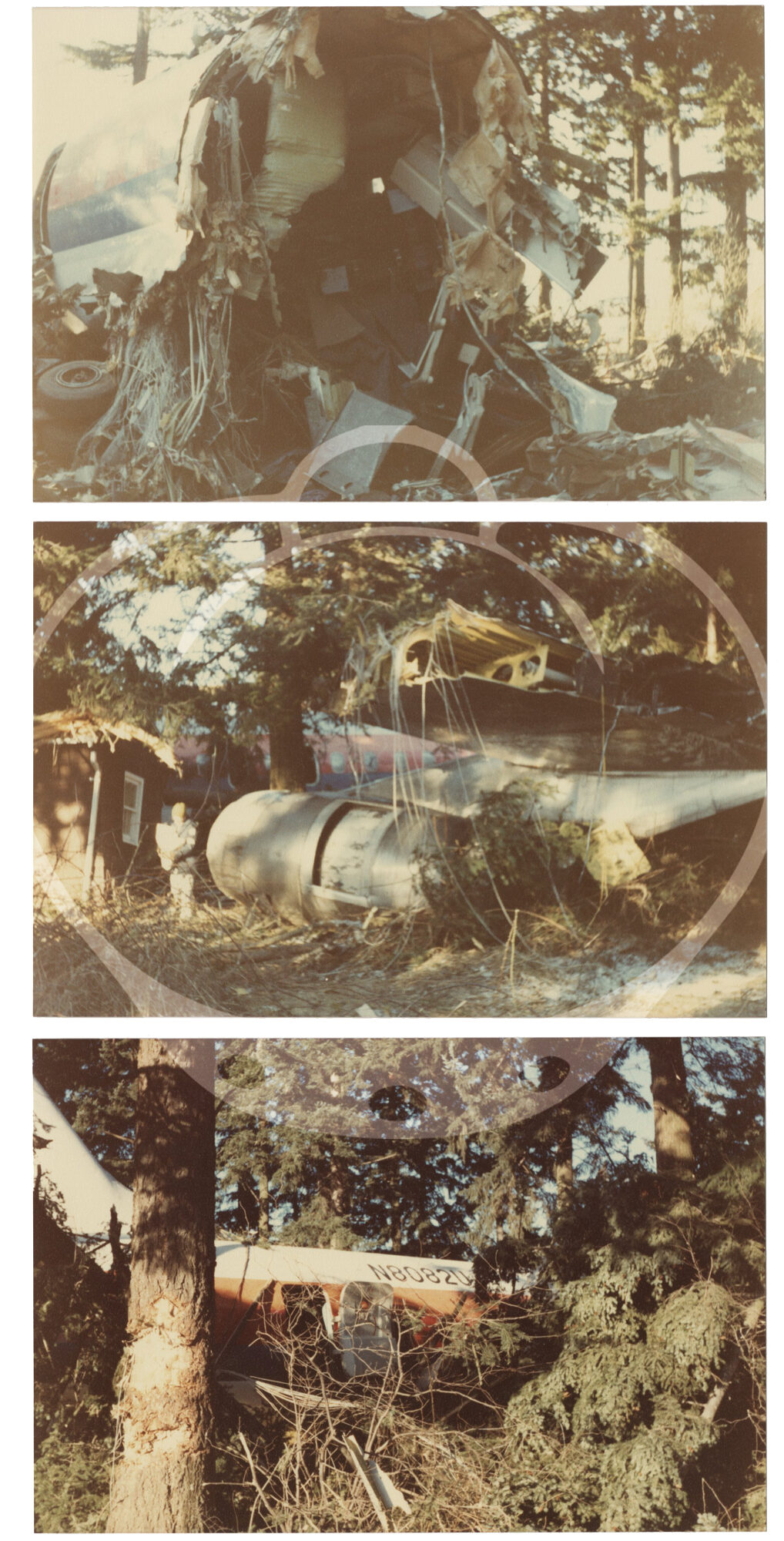 Flight 173 Archive of 63 photographs of the crash of United Airlines Flight 173 ...